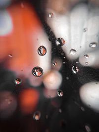 Close-up of water drops on glass window