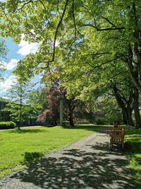 Bench in park