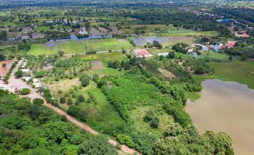 High angle view of trees and houses on field