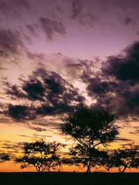 Silhouette tree against sky during sunset