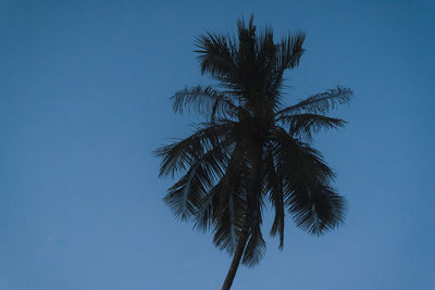 Low angle view of palm tree against clear blue sky