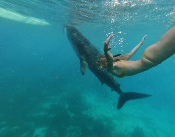 Man swimming in sea