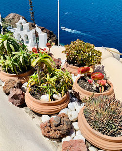 High angle view of potted plants on beach