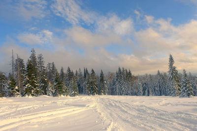 Snow covered land against sky