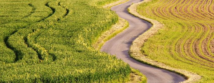 Scenic view of rural landscape