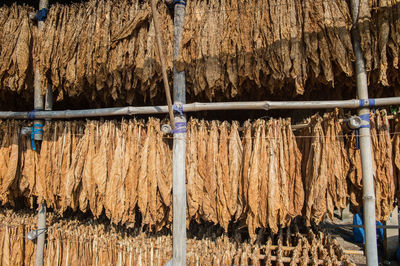 Clothes drying on clothesline by building