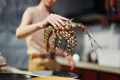 Midsection of man holding christmas decoration