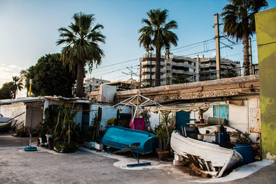 Palm trees and buildings against sky