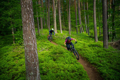 A young woman and a young man riding their mountain bikes on a singletrail near klagenfurt, austria.