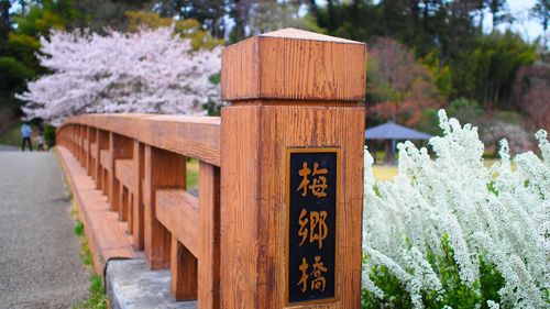 Close-up of wooden railing 