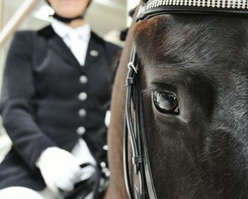 Close-up of man sitting on horse