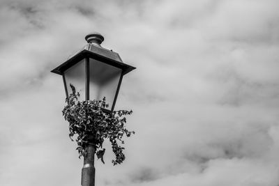 Low angle view of street light against sky