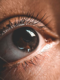 Close-up of human eye