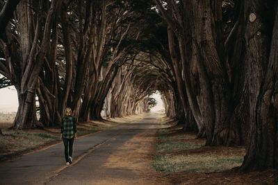 Rear view of woman walking on road in a tree tunnel