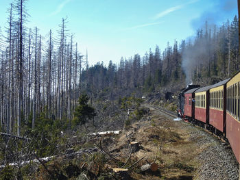 Train on railroad track in forest against sky