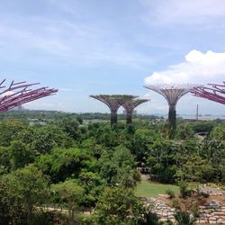 View of trees against sky