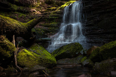 Scenic view of waterfall in forest