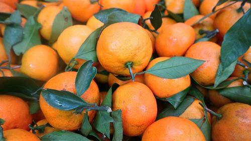 High angle view of oranges in market