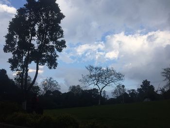 Silhouette trees on field against sky