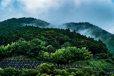 Scenic view of forest hill against sky on a rainy day in fukuoka, japan