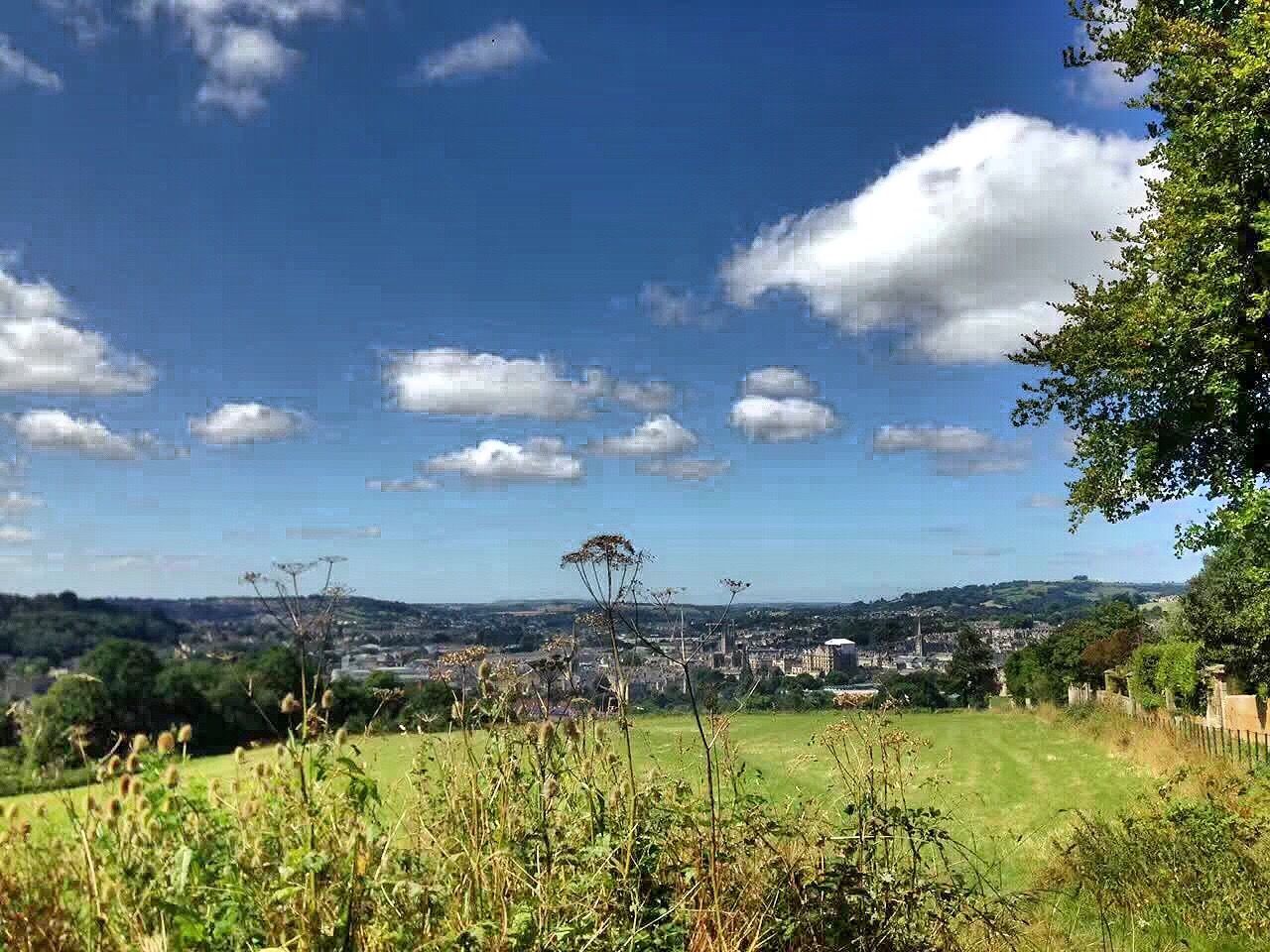 tranquil scene, landscape, tree, plant, growth, tranquility, sky, scenics, grass, non-urban scene, flower, beauty in nature, uncultivated, nature, cloud - sky, field, cloud, blue, meadow, day, wildflower, tourism, solitude, distant, outdoors, vacations, springtime, countryside, green color, blossom, in bloom, remote, summer, dramatic sky