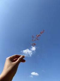 Low angle view of hand holding blue sky