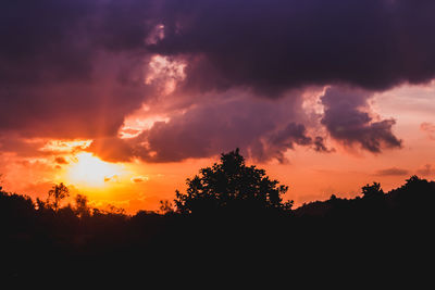 Silhouette trees against dramatic sky during sunset