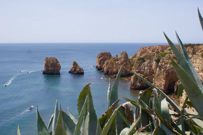 Scenic view of sea against clear sky