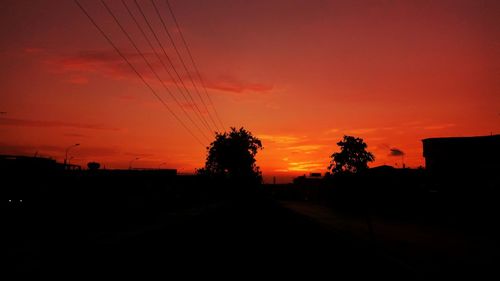 Silhouette trees against sky during sunset