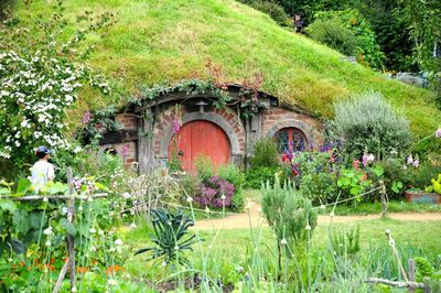 View of flowering plants in garden