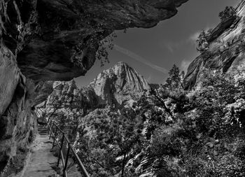 Panoramic view of trees and mountains against sky