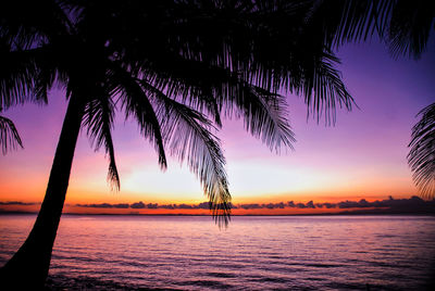 Silhouette palm tree by sea against sky during sunset