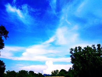 Low angle view of trees against blue sky