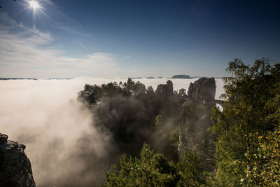 Trees on landscape against sky