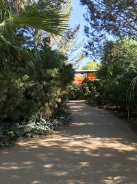 Empty road along trees