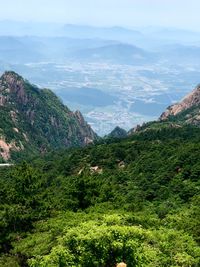 High angle view of lush foliage against sky