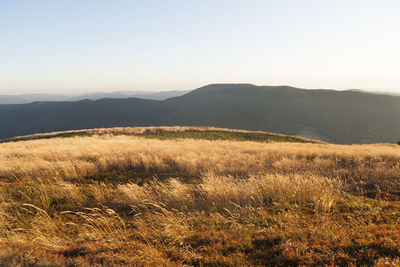 Scenic view of field against clear sky