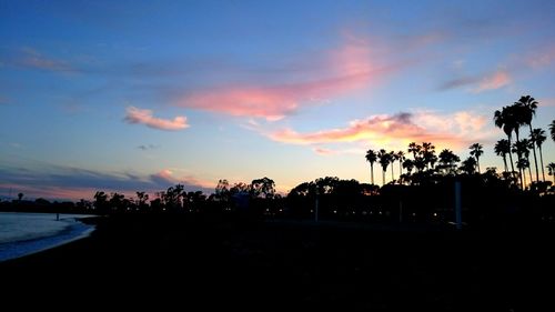 Palm trees at sunset