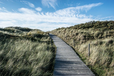 Boardwalk amidst plants on land against sky