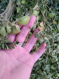 hand