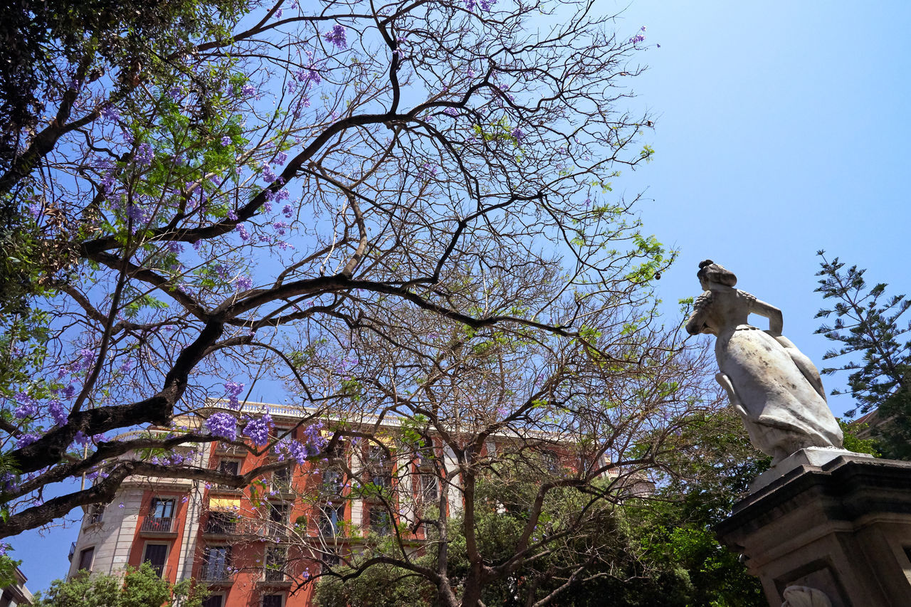 LOW ANGLE VIEW OF STATUE AGAINST BUILDING AND TREES