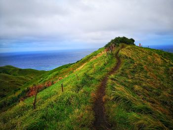 Scenic view of trail against sky