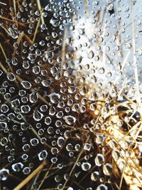 Full frame shot of wet glass window