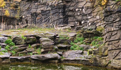 Low angle view of stone wall