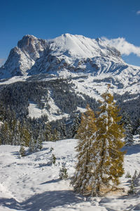 Scenic view of snow covered mountains against sky