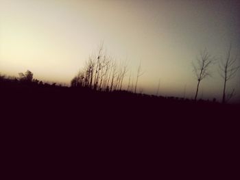 Silhouette of trees on landscape at sunset