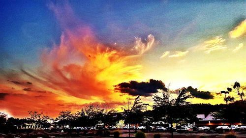 Silhouette trees against sky at sunset