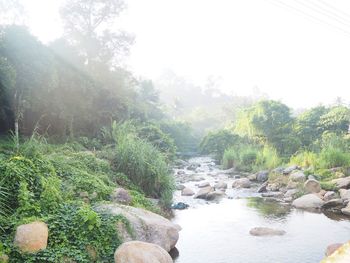 Stream flowing through rocks in forest against sky