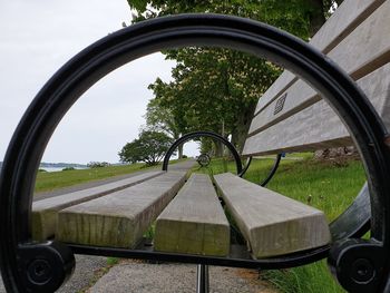 Reflection of trees on side-view mirror