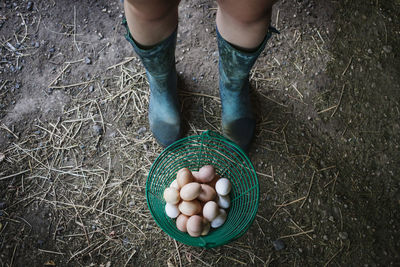 Low section of woman standing by basket with eggs on field